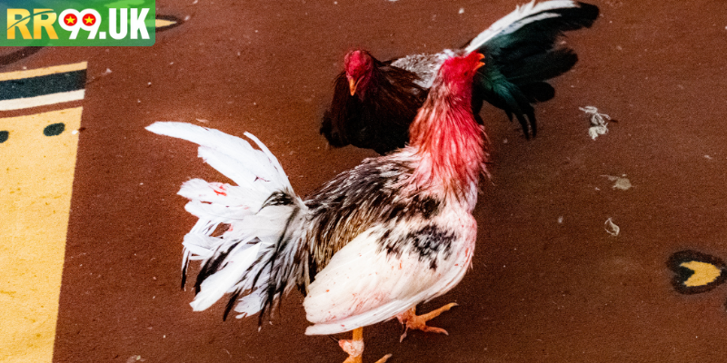 Khám phá nhiều hình thức độc đáo